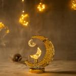 Moon Shape Stand with Moon Lights