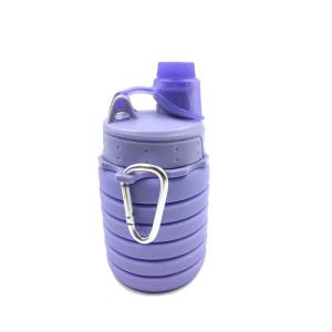 Premium Water Bottle Infuser
