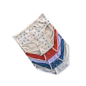 Women’s Cotton Mid-Rise Printed Briefs – 5-Pack Multicolor Assortment