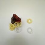 Spiral Coil Hair Ties in Transparent Bottle